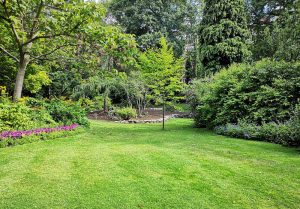 Optimiser l'expérience du jardin à Montfaucon-en-Velay